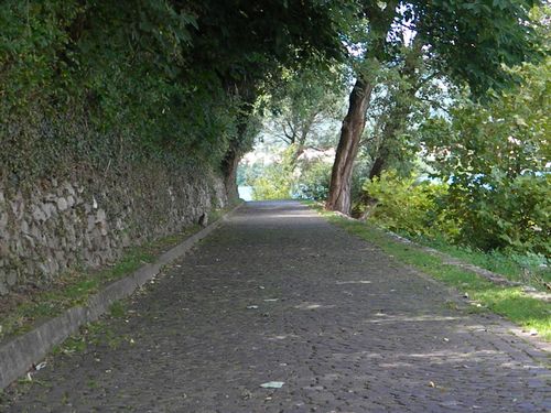 ciclabile Lago di Varese - Biandronno